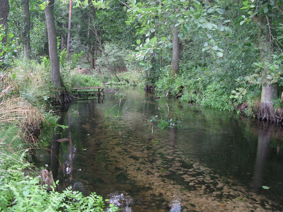 The Lipczynka River