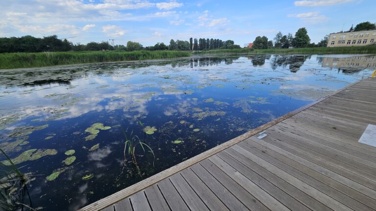 Przystań kajakowa przy Opływie Motławy „Na Szańcach”