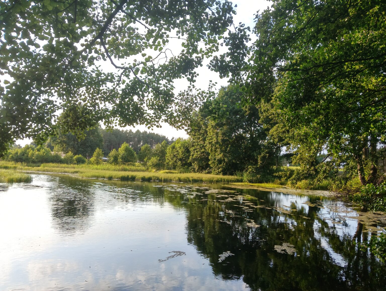 Przenoska w Papierni